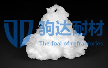 �����X�w�S��